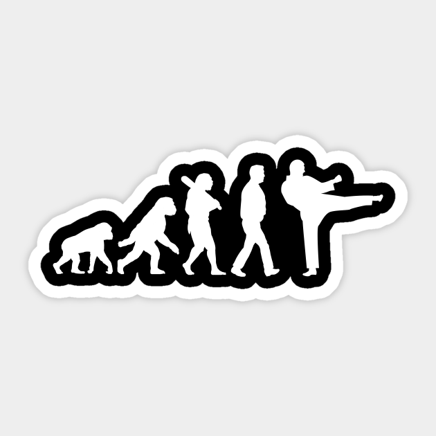 Evolution Karate Taekwondo Sticker TeePublic